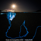 Images Copyright Ocean Art Underwater Photo Competition 2016